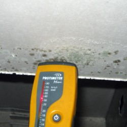 Image of moisture testing