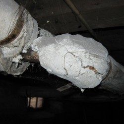 Image of possible lead paint