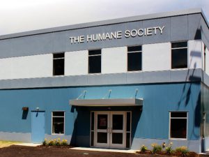 Broome County Humane Society