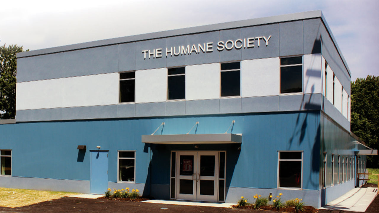 broome county humane society