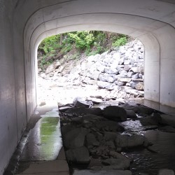 image under bridge